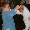 Beagle und kleine Kinder