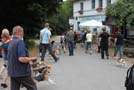 Beaglewanderung Schaumburg 2011