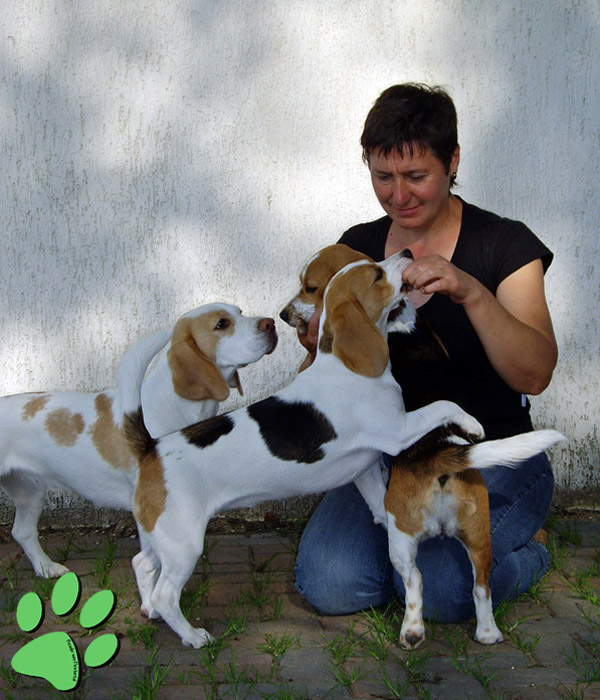 Nelly Kraemer und ihre Beagles